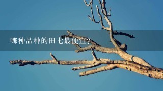 哪种品种的田七最便宜?