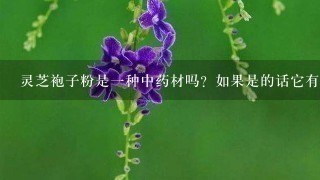 灵芝袍子粉是一种中药材吗?如果是的话它有什么功效和用法呢?