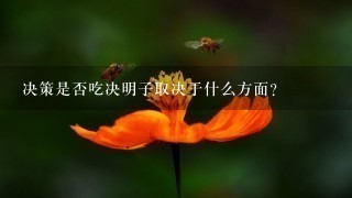 决策是否吃决明子取决于什么方面?