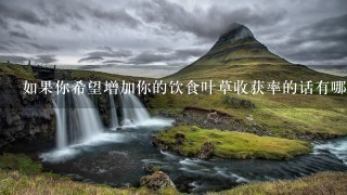 如果你希望增加你的饮食叶草收获率的话有哪些技巧可以帮助你在短时间内提高收成?