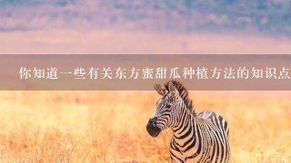 你知道一些有关东方蜜甜瓜种植方法的知识点吗?