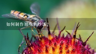 如何制作翘嘴鱼炒饭?