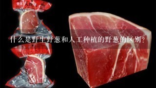 什么是野生野葱和人工种植的野葱的区别?
