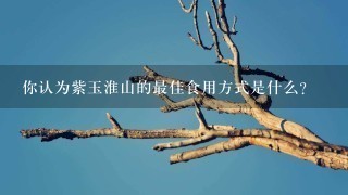你认为紫玉淮山的最佳食用方式是什么?