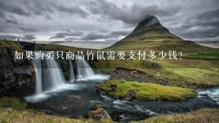 如果购买只商品竹鼠需要支付多少钱?
