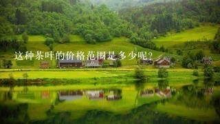 这种茶叶的价格范围是多少呢?