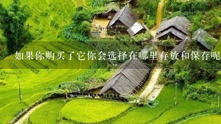 如果你购买了它你会选择在哪里存放和保存呢?
