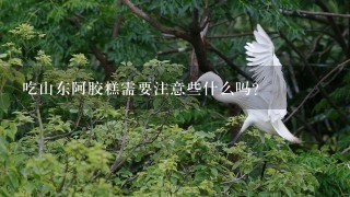吃山东阿胶糕需要注意些什么吗?