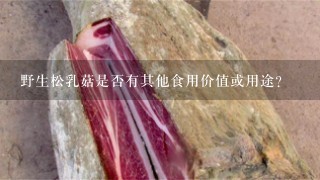 野生松乳菇是否有其他食用价值或用途?