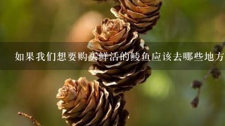 如果我们想要购买鲜活的鲮鱼应该去哪些地方寻找它们?