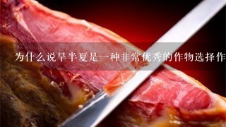 为什么说旱半夏是一种非常优秀的作物选择作为粮食来源或饲料生产中的重要组成部分之一?