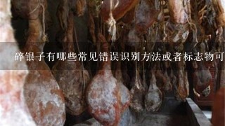 碎银子有哪些常见错误识别方法或者标志物可以帮助鉴定真假货品呢?
