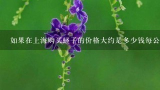 如果在上海购买蛏子的价格大约是多少钱每公斤?