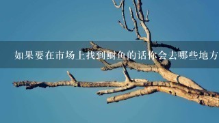 如果要在市场上找到鲥鱼的话你会去哪些地方去寻找它们呢?