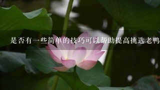 是否有一些简单的技巧可以帮助提高挑选老鸭的质量和口感?