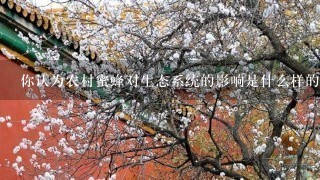 你认为农村蜜蜂对生态系统的影响是什么样的?