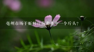 亳州市场干蚯蚓目前卖多少一个斤头?