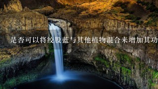 是否可以将绞股蓝与其他植物混合来增加其功效或减少副作用?
