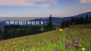 在哪些地区种植较多?