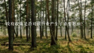 政府政策是否对该行业产生了重要影响?