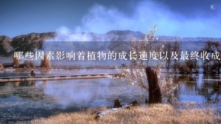 哪些因素影响着植物的成长速度以及最终收成的大小?