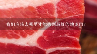 我们应该去哪里才能找到最好的地龙肉?