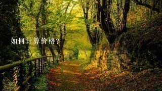 如何计算价格?