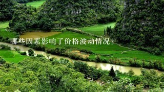 哪些因素影响了价格波动情况?