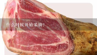 什么时候开始采摘?