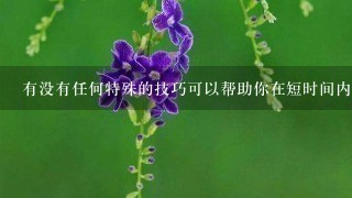 有没有任何特殊的技巧可以帮助你在短时间内获取更多的结果?