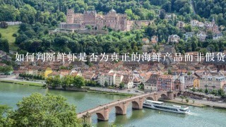 如何判断鲜虾是否为真正的海鲜产品而非假货或仿制品?
