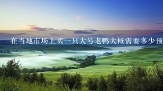 在当地市场上买一只大号老鸭大概需要多少预算呢?