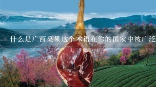 什么是广西桑果这个术语在你的国家中被广泛使用的原因?