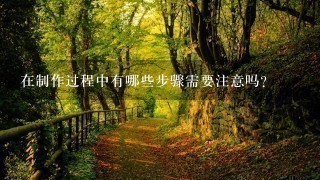 在制作过程中有哪些步骤需要注意吗?
