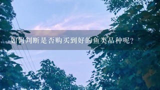 如何判断是否购买到好的鱼类品种呢?