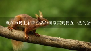 现在市场上有哪些品种可以买到便宜一些的猪肉产品?