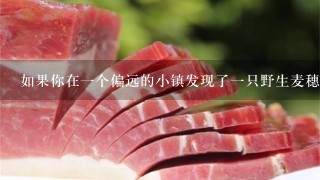 如果你在一个偏远的小镇发现了一只野生麦穗鱼能卖多少钱啊?