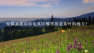 安徽省黄山市屯溪区哪里有卖茶叶的地方?