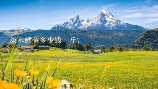 淡水鳕鱼多少钱一斤?