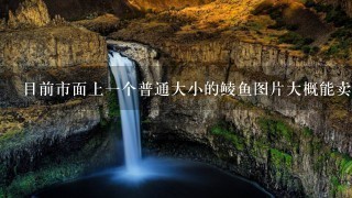 目前市面上一个普通大小的鲮鱼图片大概能卖多少钱?