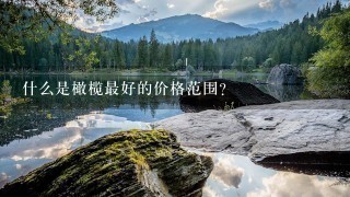 什么是橄榄最好的价格范围?