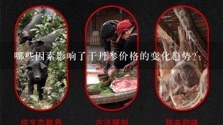 哪些因素影响了干丹参价格的变化趋势?