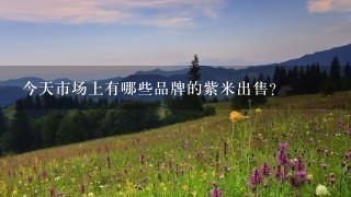 今天市场上有哪些品牌的紫米出售?