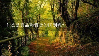 什么是真品和假货的区别呢?