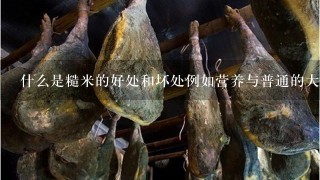 什么是糙米的好处和坏处例如营养与普通的大米相比?