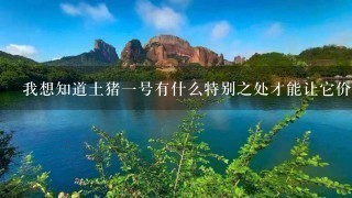 我想知道土猪一号有什么特别之处才能让它价格这么高昂?