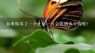 如果你买了一个土猪一号会收到多少钱呢?