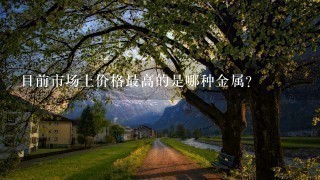 目前市场上价格最高的是哪种金属?