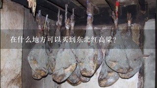 在什么地方可以买到东北红高粱?
