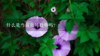 什么是当前市场趋势吗?